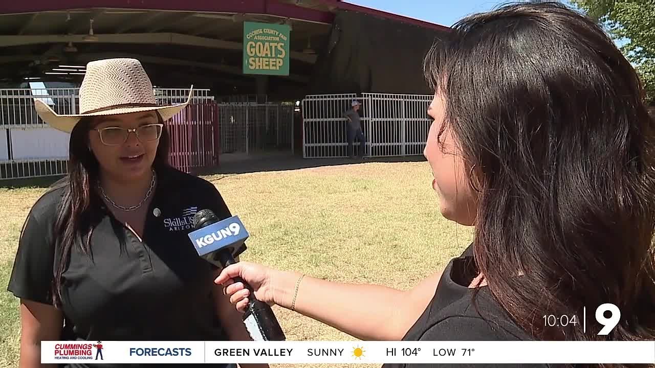 Douglas resident shares his experience living in a border town ahead of VP visit