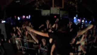 The Color Morale-Humannequin