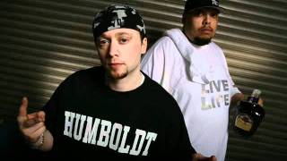 Potluck - T- Pain (Insert)