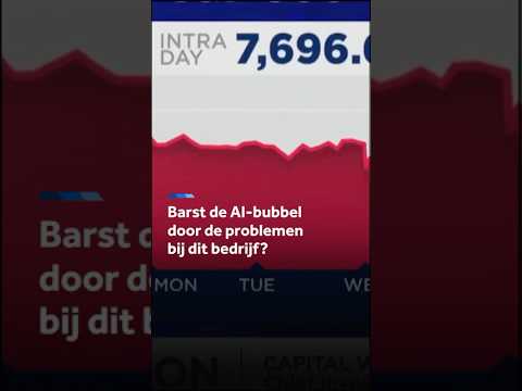 Prikt dit bedrijf de AI-bubbel door?