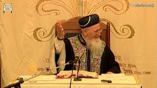 הלכות חג הסוכות - פרשת וזאת הברכה - ה' תשרי תשס"ח - מרן הרב מרדכי אליהו (הרב מרדכי אליהו זצ"ל) - התמונה מוצגת ישירות מתוך אתר האינטרנט יוטיוב. זכויות היוצרים בתמונה שייכות ליוצרה. קישור קרדיט למקור התוכן נמצא בתוך דף הסרטון