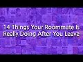 14 Things Your Roommate Is Really Doing After You Leave 14 Things Your Roommate Is Really Doing After You Leave