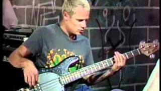 RHCP FLEA BASS SOLO 5 red hot chilli peppers