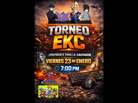 INTERNA DE EKC EN PC