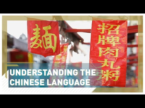Why the Chinese language seems so fascinatingly different from European dialects