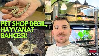 Polonya'da Böyle Bir Pet Shop Beklemiyordum! 🐢🐍🦎