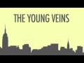 The Young Veins ~ Take a Vacation! 