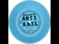 Adam The Ants A N T S
