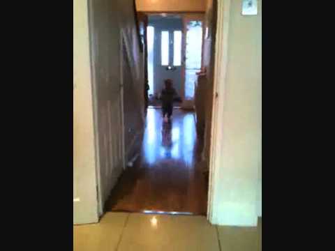 Luke Gold - Fastest Kid in the West