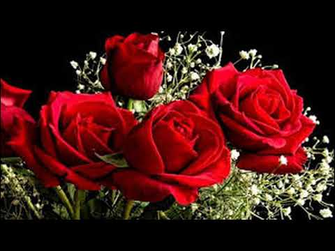 Csabi és Attila Feleségemnek szeretettel