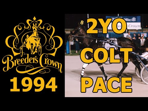 1994 Breeders Crown - Jenna's Beach Boy - 2YO Colt Pace