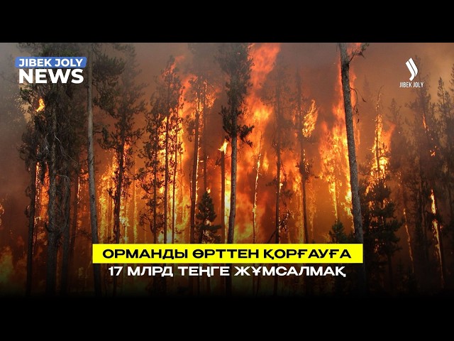 Орманды өрттен қорғауға 16,9 млрд теңге бөлінді