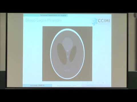 Prof. Carola-Bibiane Schönlieb | Model-Based Learning in Imaging