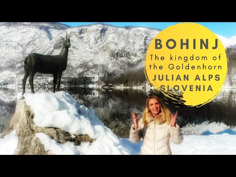 Bohinj, Slovenia – The Kingdom of the Goldenhorn