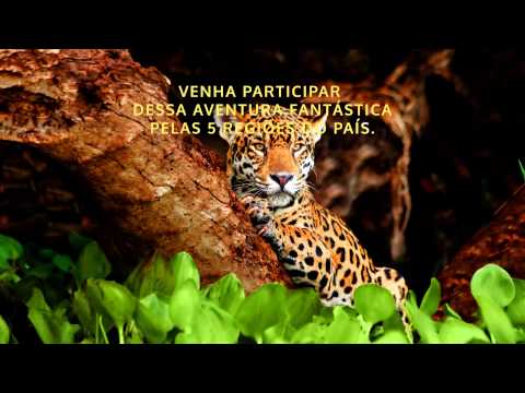 Exposição Brasil Selvagem - RibeirãoShopping