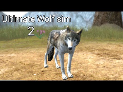 Ultimate wolf simulator 2 is now out - YouTube