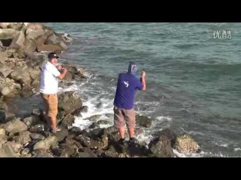 Awesome sea bass fishing by DANKUNG fishing team