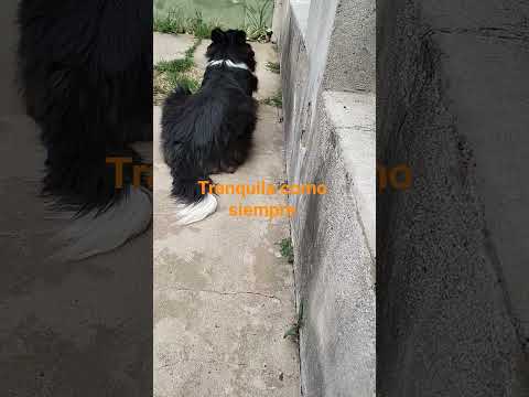 6 de diciembre de 2025