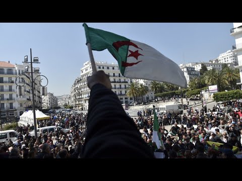 الجزائريون يستعدون للتظاهر للجمعة السابعة على التوالي للمطالبة بالسقوط الكامل لـ"النظام"