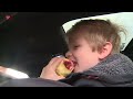 Fruitplukdagen in Kraggenburg weer druk bezocht