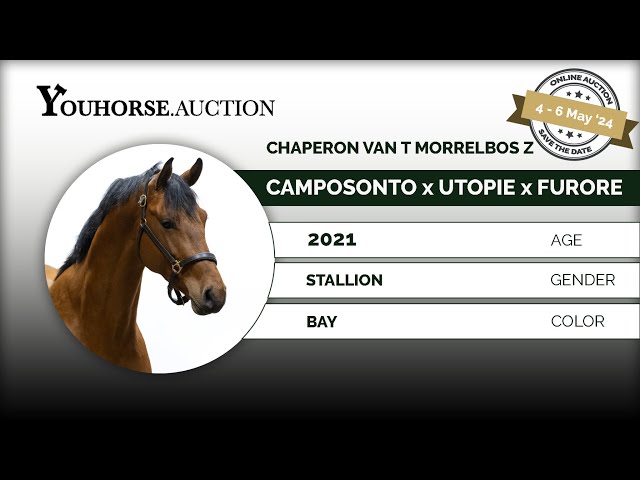 Chaperon van t Morrelsbos Z