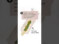 How To Roll A Joint In 22 Seconds