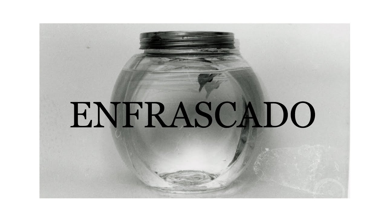 ENFRASCADO | Cortometraje Stop-motion - Tomás Salbar