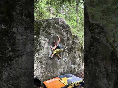 Barbarella, 7a. Magic Wood