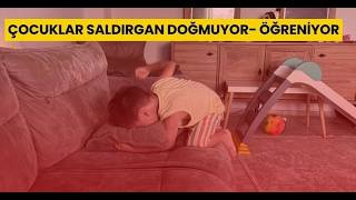 Çocuklar Saldırgan Doğmuyor, Öğreniyor