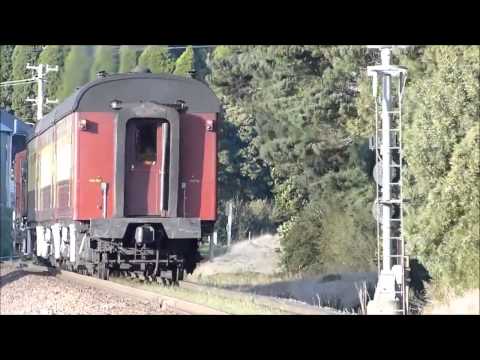 The Illawarra Treetop Flyer.  -  " 4833 & 4918 "  (2015)