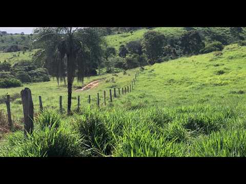 Fazenda a Venda na Região de São Luís do Norte Goiás. Terra de Cultura🔹Área total de 100 Alqueirão.