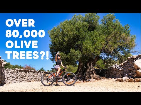 Magnificent LUN on the island of PAG, CROATIA | Cycling with Bikademy Novalja Study