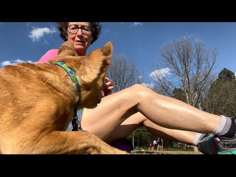 Back from the Beach into Atlanta Beltline Reality Show - Miss Moonshine & B leave Pawleys