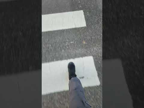 출근 전 횡단보도 #평택삼성반도체
