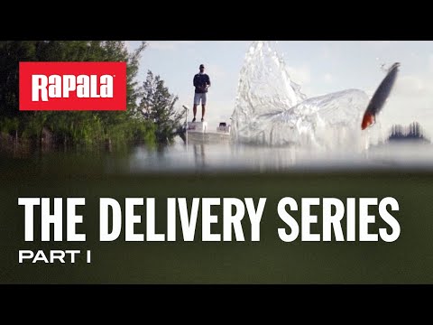 Rapala Saltwater Skitter Walk 11cm 19g HBNC F