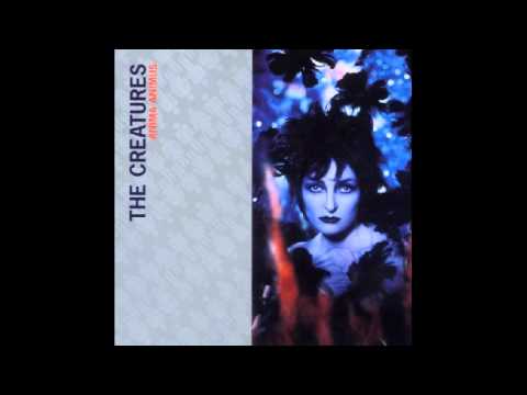 THE CREATURES - Disconnected