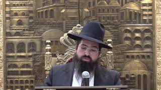 שידור חי מאשדוד | הרב אלעזר אברג'ל שליט"א