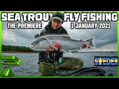 Sea Trout Premiere 2021! Fly Fishing