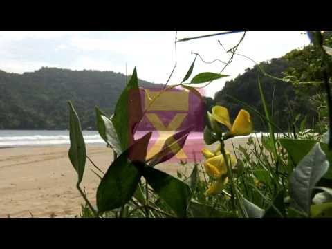 Tyrico Bay, Trinidad