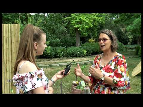 MATINALUL DE SEARĂ -SPECIAL- 10.06.2022