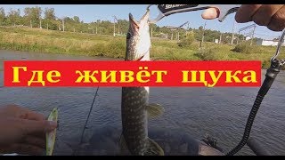 На что ловить в реке луховик