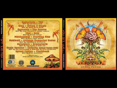 Spinal Fusion - Flashback