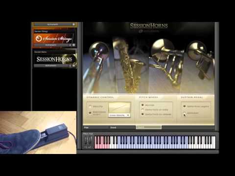 Session Horns - How to use the Animator Features