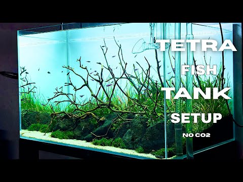 Tetra fish tank setup | Underwater stream aquascape | step-by-step tutorials