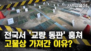 [사건파일24] 무게만 2톤···전국서 교량 이름표 '동판' 416개 절도한 일당 검거