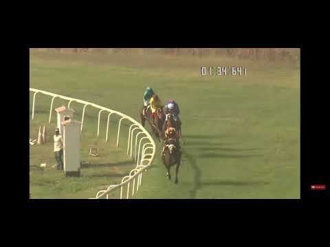 the villoo c poonawalla indian oaks grade 1 miracle horses win ps chauhan jockey cr.faiz khan