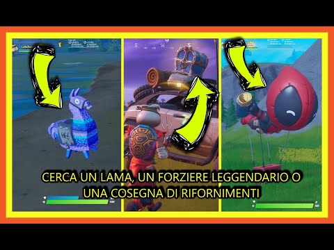 CERCA UN LAMA, UN FORZIERE LEGGENDARIO O UNA CONSEGNA DI RIFORNIMENTI - sfide MISSIONE DI MIDA