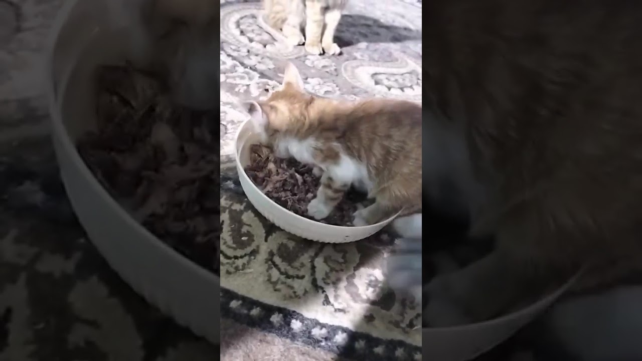 Update on Jack! [STORY BELOW]