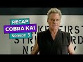 Cobra Kai: Season 3 RECAP