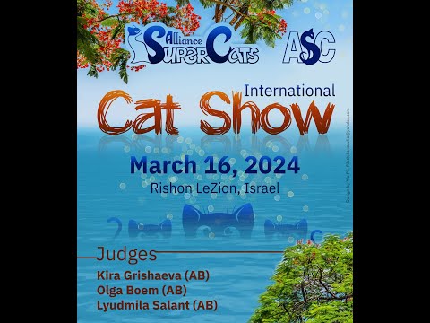 16/3/2024 International Cat Show ASC, Rishon LeZion Israel
